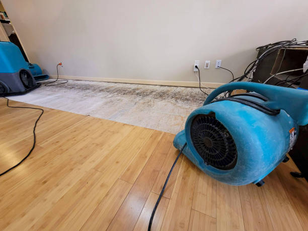 Professional Water Damage Repair technician working in Radnor, OH